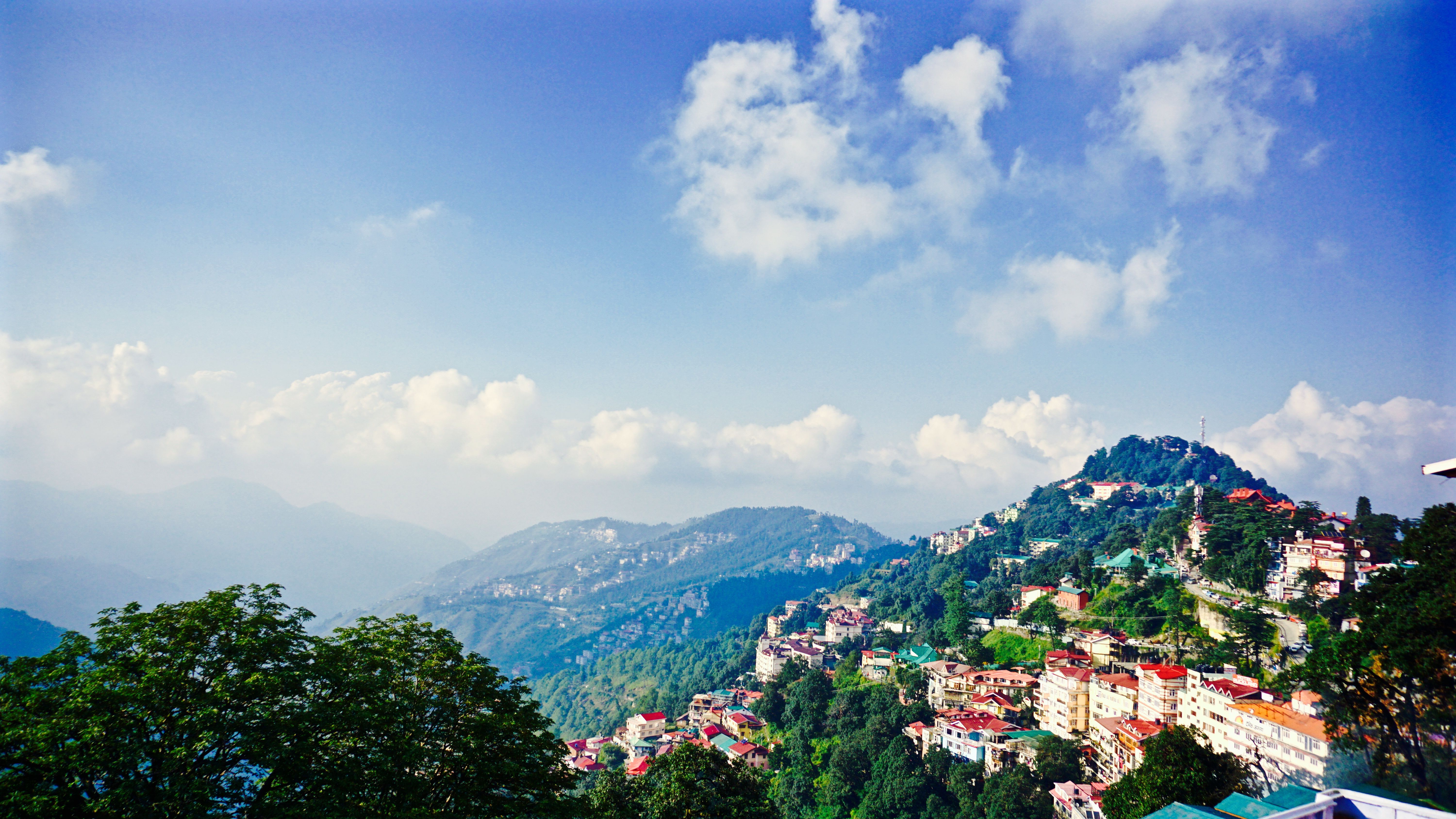 AVSA Stayz Shimla — A walk from Mall Road, worlds from the noise